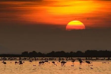 Lo Claustre Del Delta: Luxury Private In Ebro Delta Villa