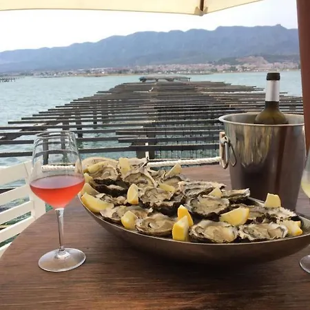 Lo Claustre Del Delta: Luxury Private In Ebro Delta *